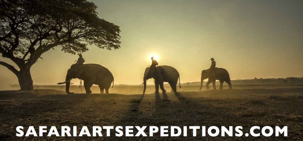Safariartsexpeditions